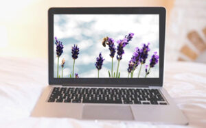 Foto von Laptop mit Blumenbild
