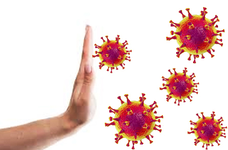 Grafik Abwehr von Viren und Bakterien
