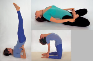 Mehr über den Artikel erfahren Ausgleich von Fisch oder halbes Kamel nach der Kerze