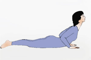 Mehr über den Artikel erfahren Hatha-Yoga zur Unterstützung der körperlichen Abwehrkräfte