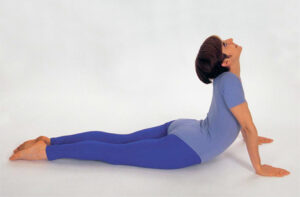 Mehr über den Artikel erfahren Die Elemente des klassischen Hatha-Yoga